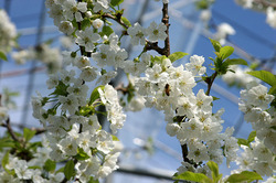 IMG_5972.JPG
