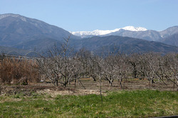 IMG_6001.JPG